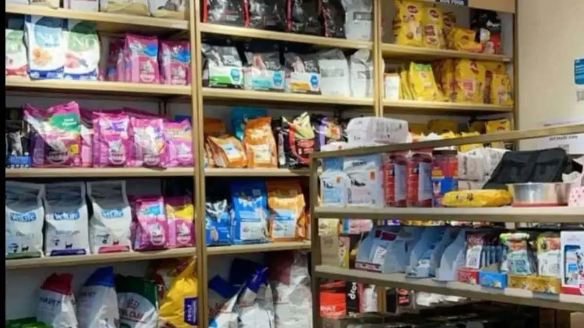 3 Rekomendasi Pet Shop Terbaik di Perumnas Karawang yang Lengkap dan Ramah Rekomendasi Petshop di Perumnas Karawang