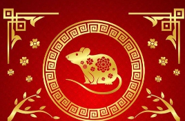 Shio Tikus 2026: Energi Positif Membawa Keberuntungan dalam Karier, Cinta, dan Keuangan peruntungan shio tikus tahun 2026