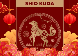 Ramalan Shio Kuda 2026: Tahun Keberanian, Perubahan Besar, dan Peluang Tak Terduga ramalan shio kuda tahun 2026