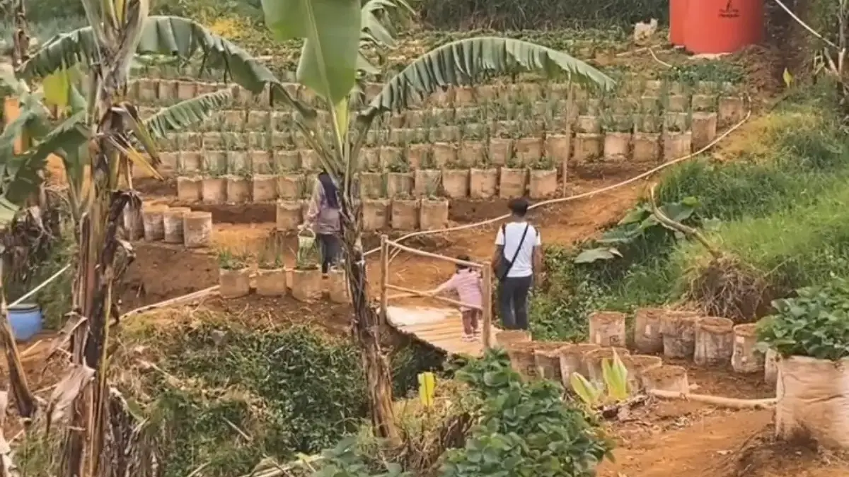 10 Rekomendasi Tempat Wisata Gratis di Bogor yang Seru, Cocok Buat Habisin Liburan Akhir Tahun! Tempat Wisata di Bogor yang Seru dan Gratis.