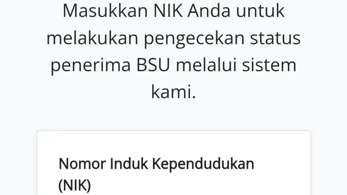 website cek bsu kemnaker