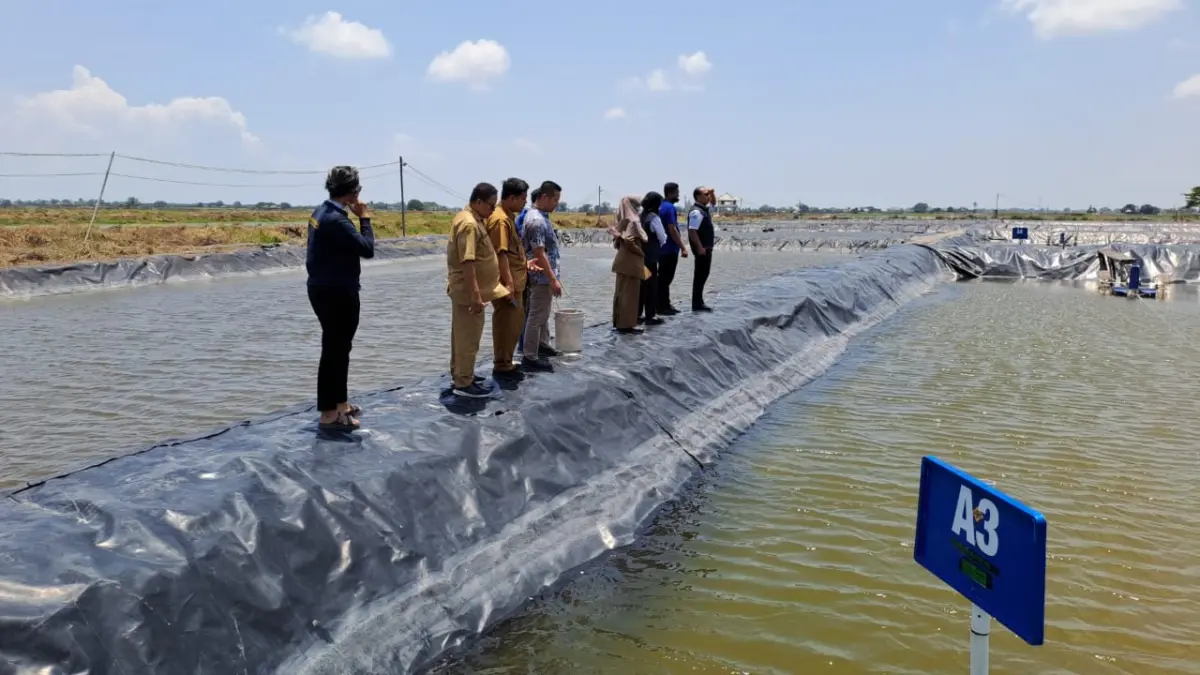 Tingkatkan Mutu Budidaya, Dinas Perikanan Karawang Berikan 27 Sertifikat kepada Pembudidaya Dinas Perikanan Karawang Berikan 27 Sertifikat kepada Pembudidaya.