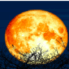 supermoon november 2025