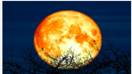 supermoon november 2025