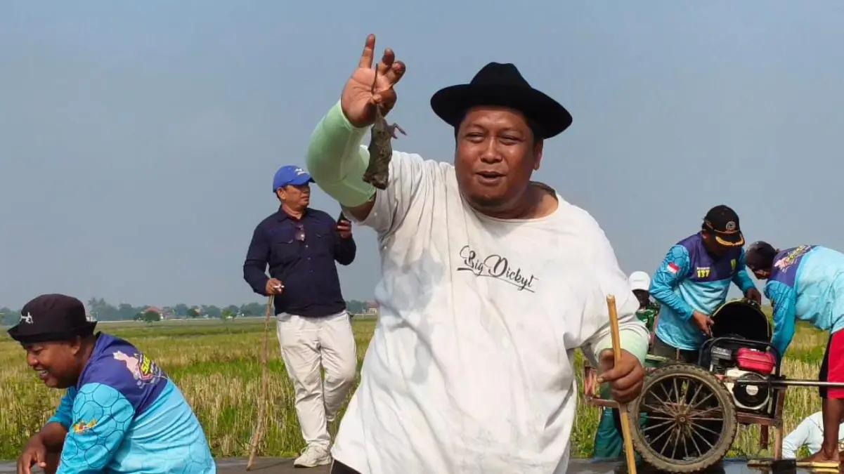 Kalagumarang Dihidupkan Kembali, Upaya Cibuaya Kendalikan Hama Tikus dan Cegah Bahaya Listrik Sawah Kendalikan Hama Tikus dan Cegah Bahaya Listrik Sawah.