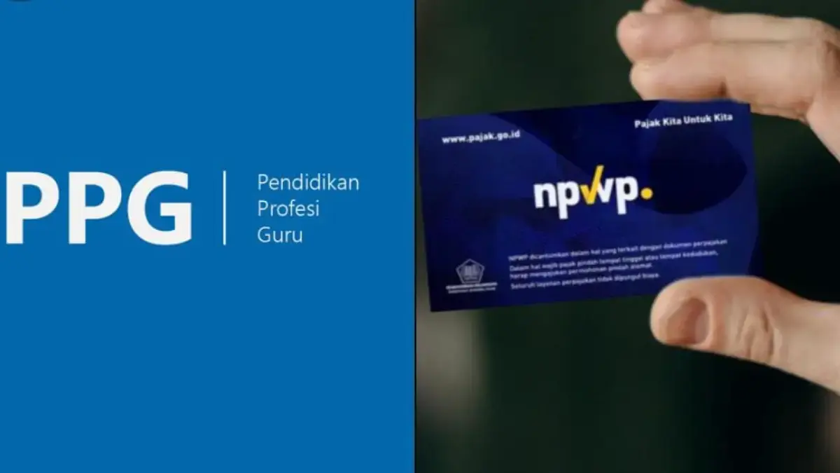Sudah Lulus PPG? Segera Buat NPWP Agar TPG Tidak Terpotong Lebih Besar Sudah Lulus PPG? Segera Buat NPWP Agar TPG Tidak Terpotong Lebih Besar