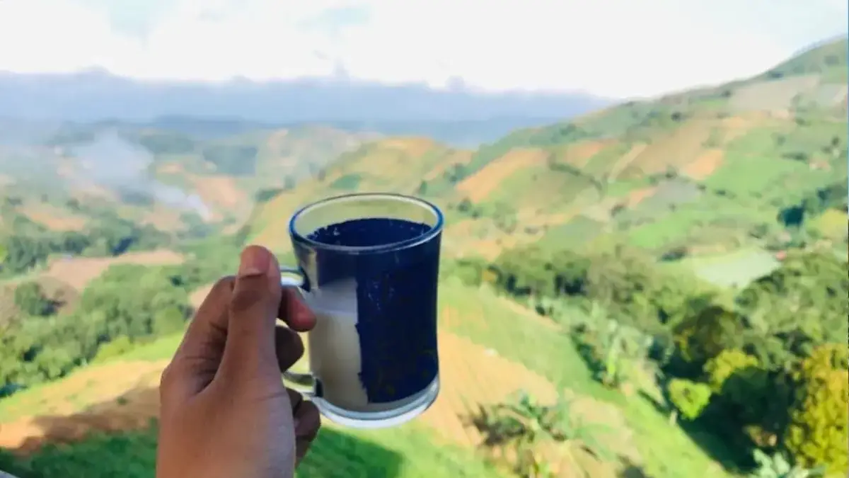 Bosan Liburan ke Bandung dan Bogor? Majalengka Menawarkan Paket Wisata Lengkap dan Menyenangkan Terasering Panyaweuyan Majalengka