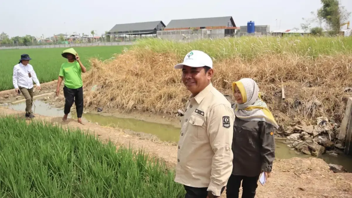 Kepala Dinas Pertanian dan Ketahanan Pangan (DPKP) Kabupaten Karawang Rohman