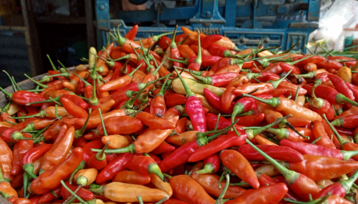 Harga cabai rawit merah melonjak hari ini