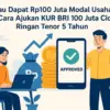 kur bri pinjaman 100 juta