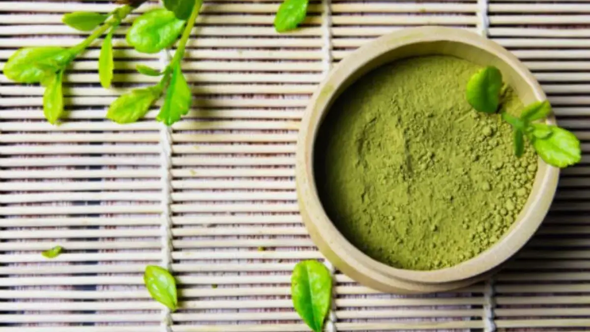 Matcha dan Teh Hijau.