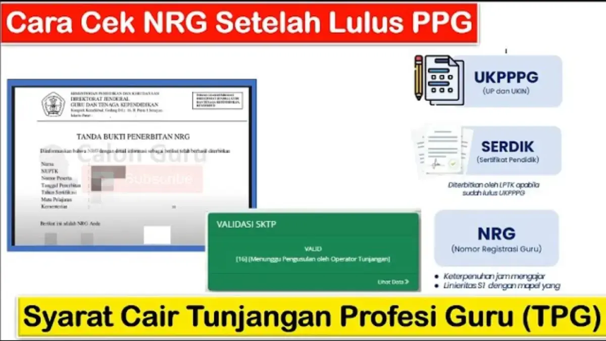 Lulus PPG Ini Panduan Lengkap Agar NRG Cepat Terbit dan Tunjangan Segera Cair