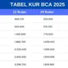 KUR BCA 2025