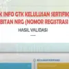 Lulusan Guru PPG Tertentu Silahkan Cek Info GTK tentang NRG
