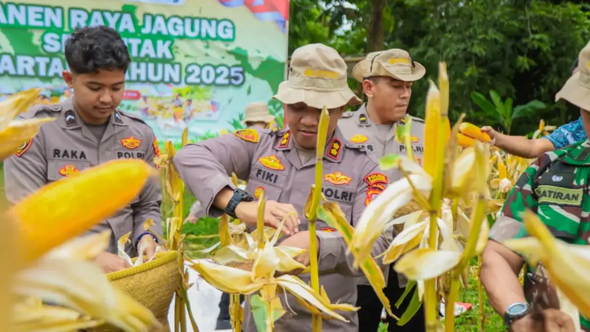 Kapolres Karawang AKBP Fiki N Ardiansyah melaksanakan kegiatan Panen Raya Jagung