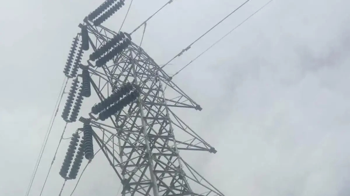 LSM Lodaya Duga Pemasangan Tower SUTET Ilegal di Kawasan Hutan Karawang ‎