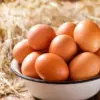 Manfaat Telur