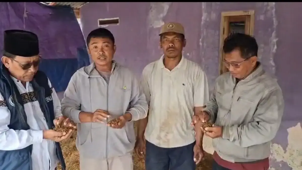 Petani Korban Banjir Cibuaya Ucapkan Terima Kasih ke Bupati Aep yang Fasilitasi Penyerapan Gabah ke Bulog Cibuaya