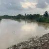 Tinggi Muka Air Sungai Citarum Naik