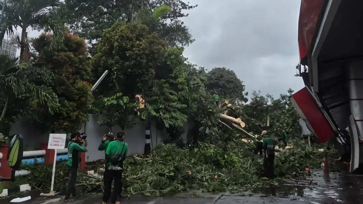 Insiden Pohon Tumbang Menimpa Sarfas SPBU 34.104.02, Pertamina RJBB Ligat Lakukan Penanganan Pohon Tumbang Menimpa Sarfas SPBU 34.104.02