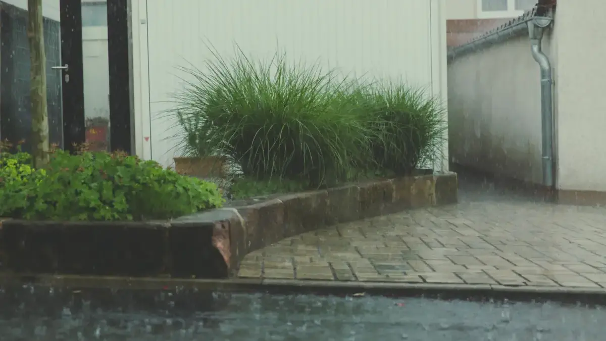 Ilustrasi pemantauan aplikasi cuaca untuk mengetahui potensi hujan lebat dan risiko banjir di wilayah rawan.