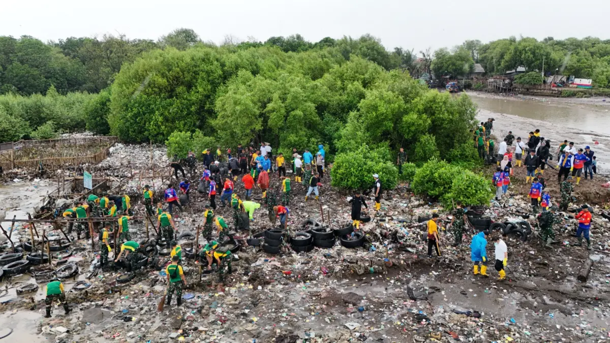 Bersih-bersih Pantai