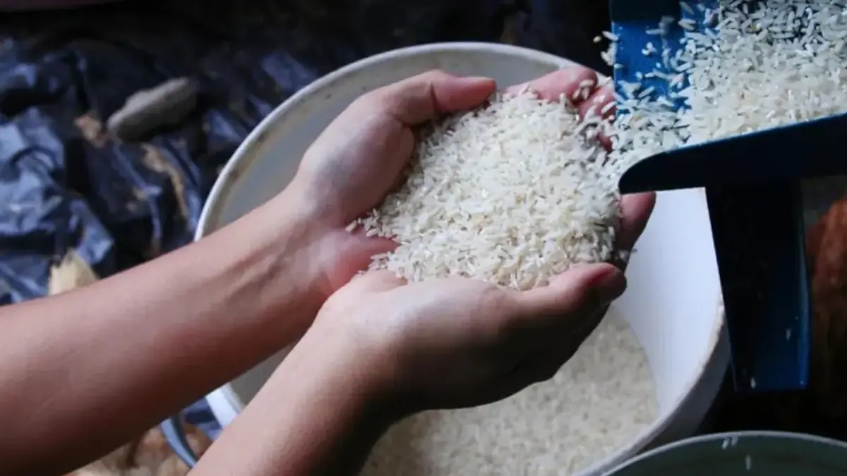 Februari–Maret Pemerintah Bagikan Bansos 10 Kg Beras, Begini Caranya Agar Anda Dapat Bansos!