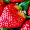 Tidak hanya Drama Korea Kini Strawberry asal Korea Selatan jadi Primadona