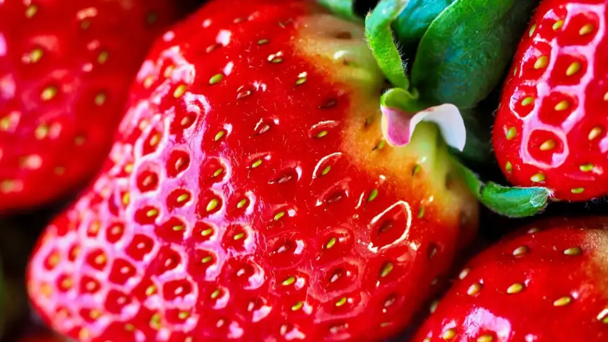 Tidak hanya Drama Korea Kini Strawberry asal Korea Selatan jadi Primadona