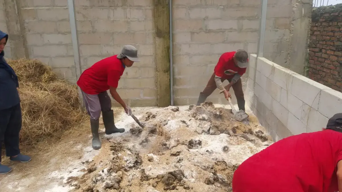 DPKPP Karawang menggelar kegiatan On Farm Training