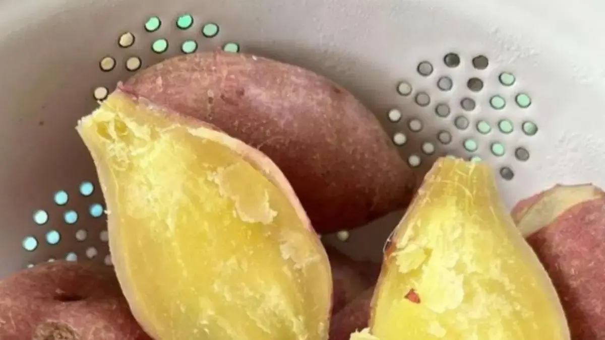 Ubi sahabat penyakit lambung