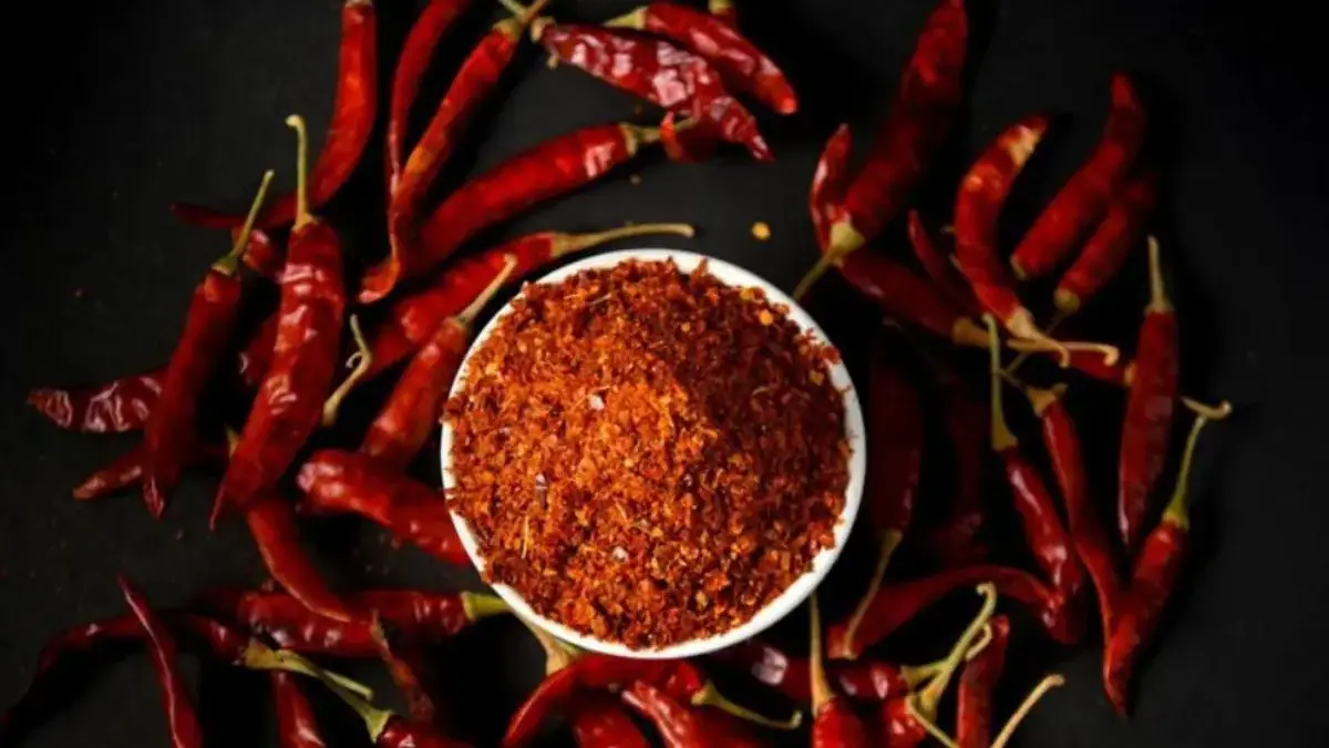 Cabai Pedas Tapi Kenapa Banyak Orang Indonesia Suka? Begini Penjelasan Lengkap! Orang Indonesia Suka Makan Pedas