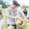 Kepala Kepolisian Resor Karawang, AKBP Fiki N. Ardiansyah memimpin langsung kegiatan Panen Raya Jagung