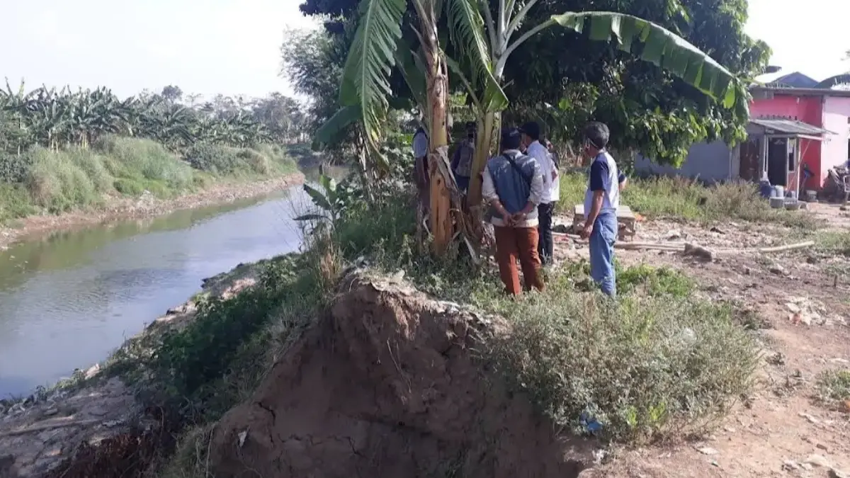 Kondisi bantaran Kali Bekasi di Kampung Kompa, Karangsatria, Tambun Utara, mengalami erosi parah akibat derasn