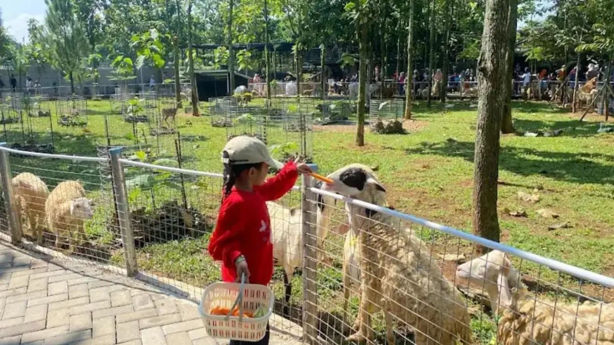 Taman Sari Forest Bekasi