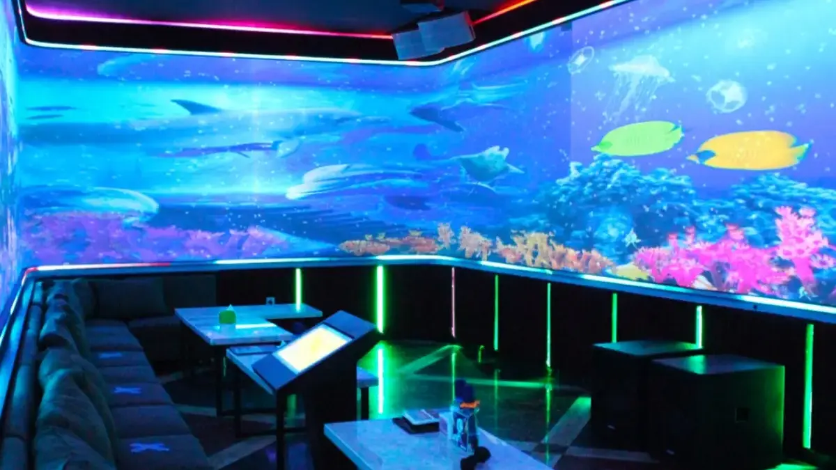 Rekomendasi 8 Tempat Karaoke Malam Minggu Terbaik Karawang