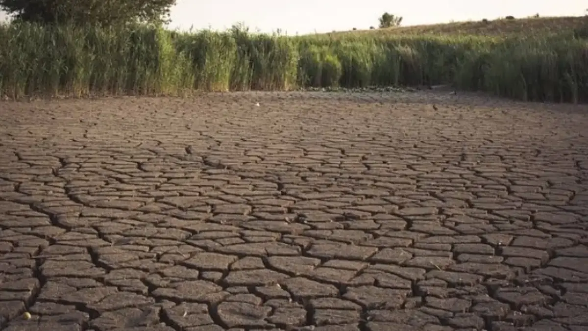 Waspada Peralihan Musim