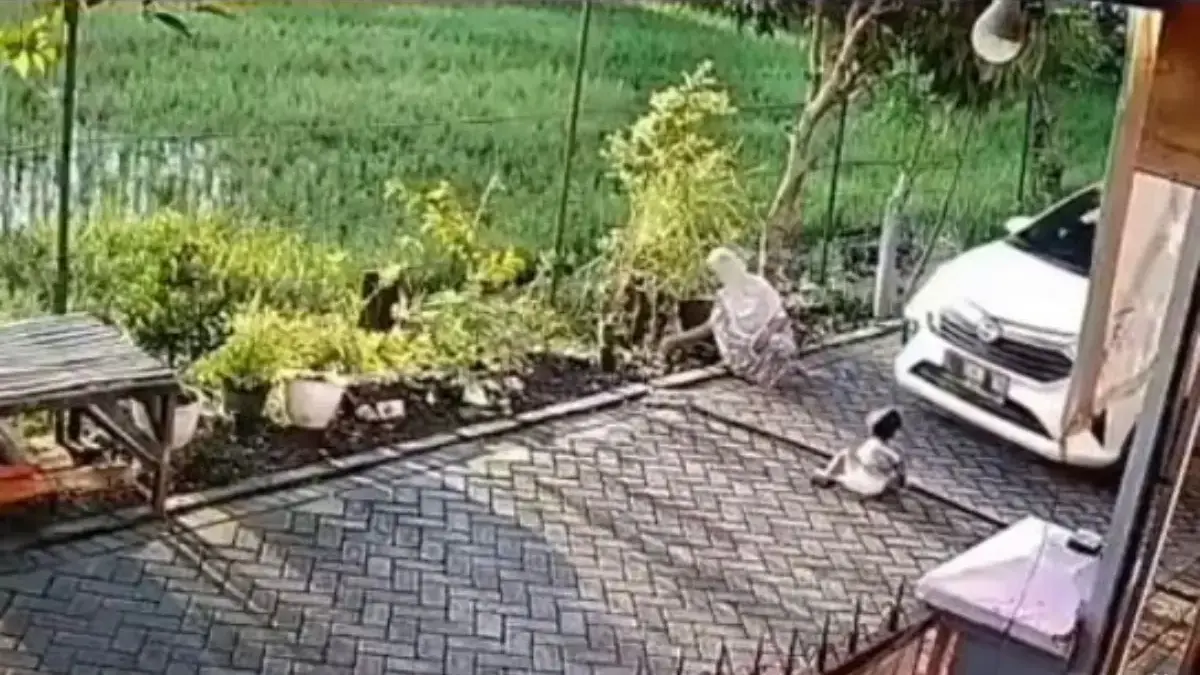 Viral Detik-detik Balita Selamat Usai Terlindas Mobil, Bikin Deg-degan! Balita Selamat Usai Terlindas Mobil