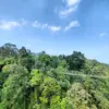 Situ Gunung Suspension Bridge Sukabumi, Jawa Barat