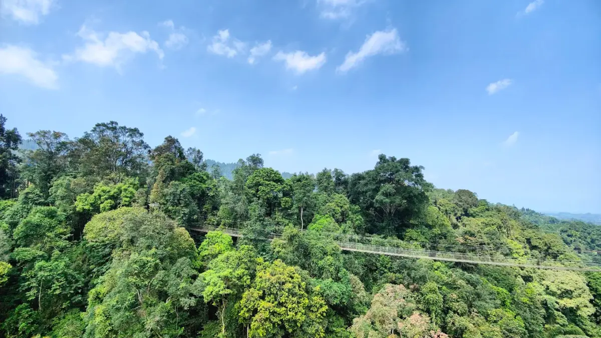 Situ Gunung Suspension Bridge Sukabumi, Jawa Barat