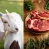 Ilustrasi daging kambing kurban
