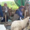 DPKPP Kabupaten Karawang