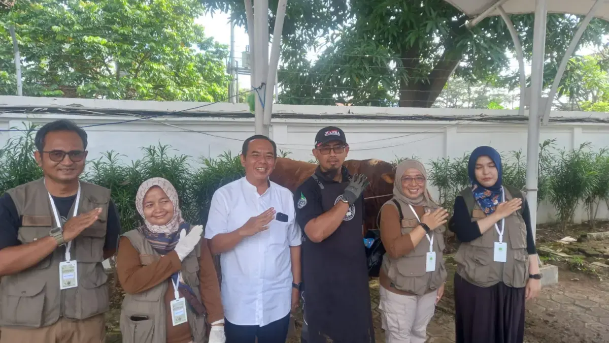 Jalu, Sapi Limosin 1,2 Ton Asal Karawang Jadi Hewan Kurban Presiden Prabowo Sapi Limosin 1,2 Ton Asal Karawang
