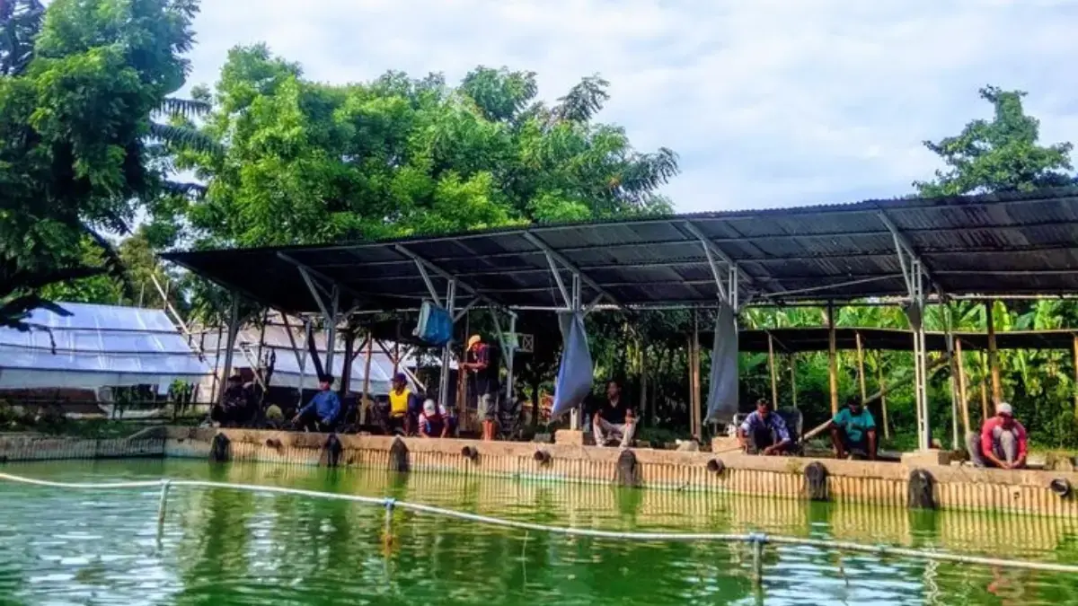10 Spot Mancing Gacor Karawang Long Weekend