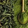 Sering Dikira Sama, Ini Perbedaan Matcha dan Green Tea yang Perlu Kamu Tahu!
