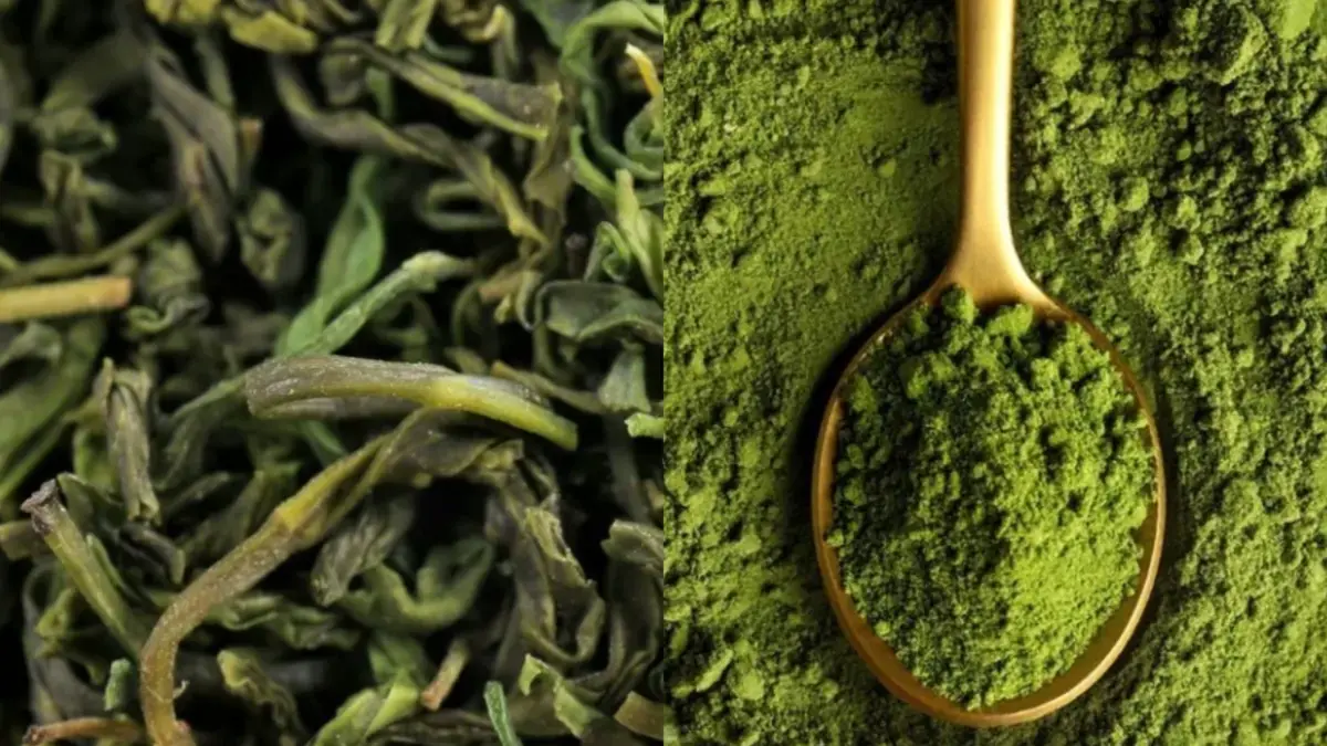 Sering Dikira Sama, Ini Perbedaan Matcha dan Green Tea yang Perlu Kamu Tahu!