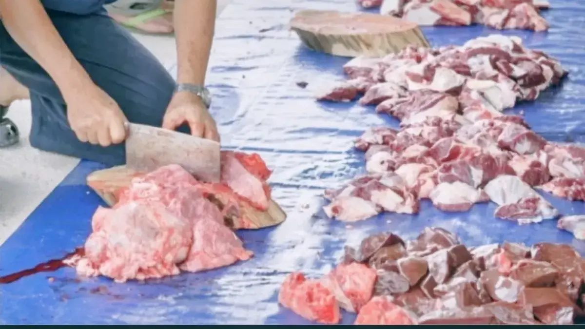 Cara Menyimpan Daging Kurban di Kulkas Agar Segar dan Higienis, Dicuci Dulu Apa Nggak? Daging Kurban