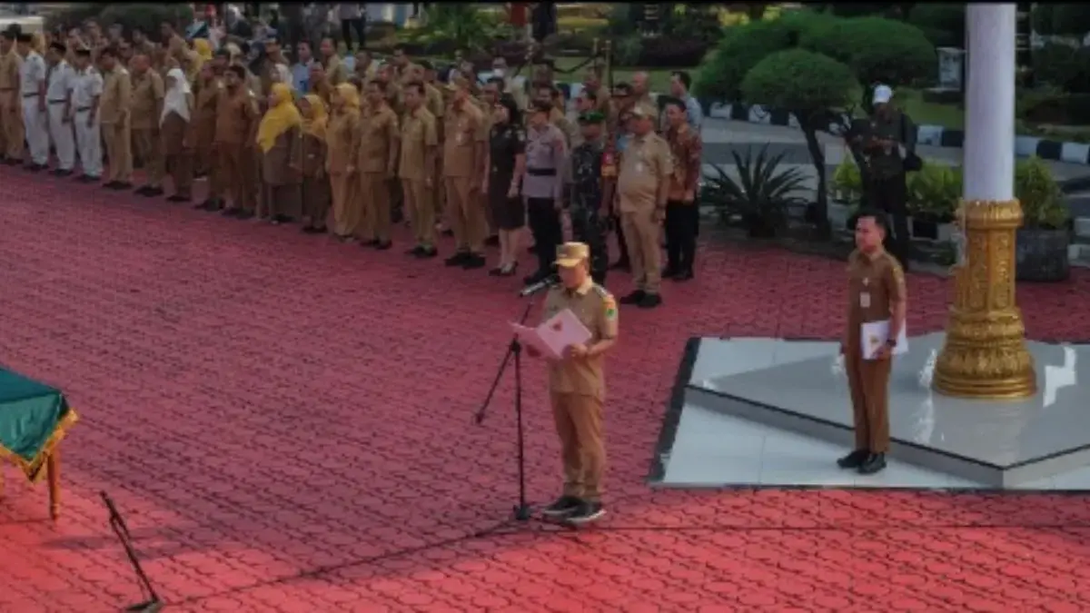 pns baru