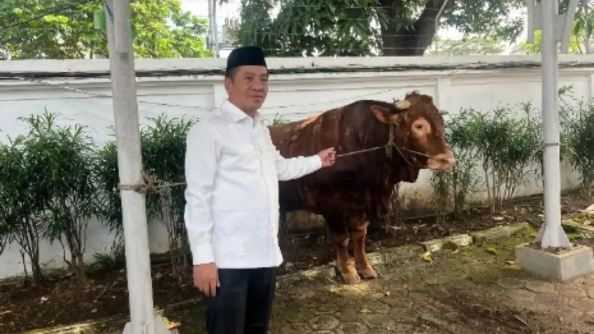 sapi prabowo
