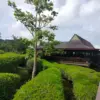 Kebun Teh Jalan Cagak